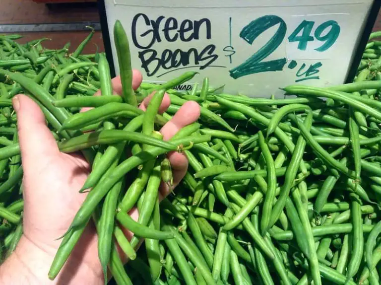 Can Chickens Eat Green Beans?