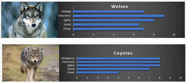 wolves vs coyotes Wolf vs Coyote (Who Would Win In A Fight?)
