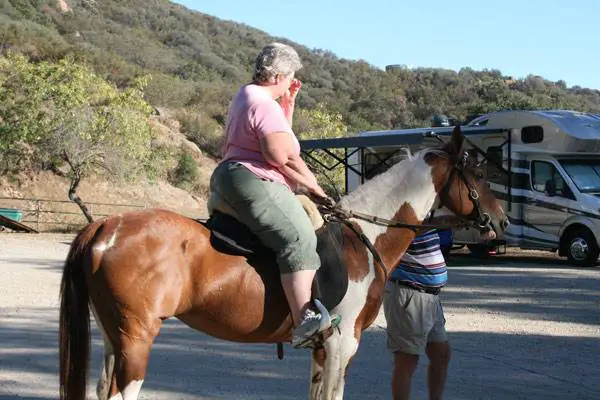 Can Overweight People Ride Horses?